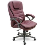 Chayrs Brown Revolving Adjustable Boss Chair in Fiber Base